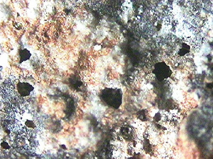 Mittelalterliche Wandmalerei auf gipshaltiem Mörtel, dadurch Abplatzungen und Erosion
